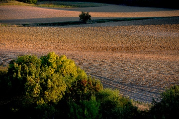 champs de terre labouré