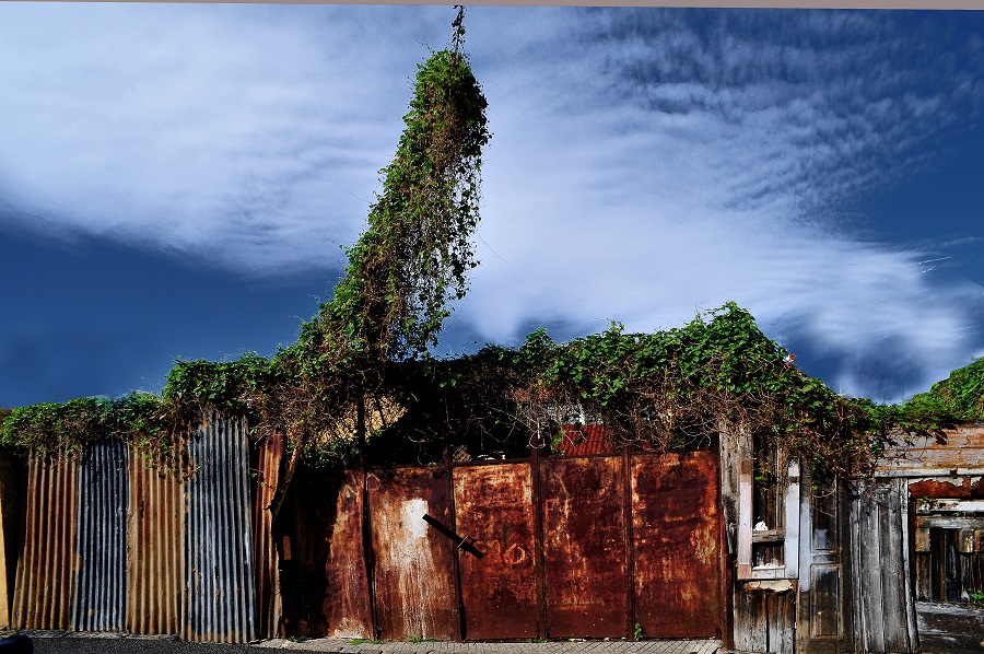 photo de ruines anodines